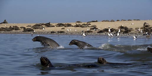 Leie bobil Walvis Bay