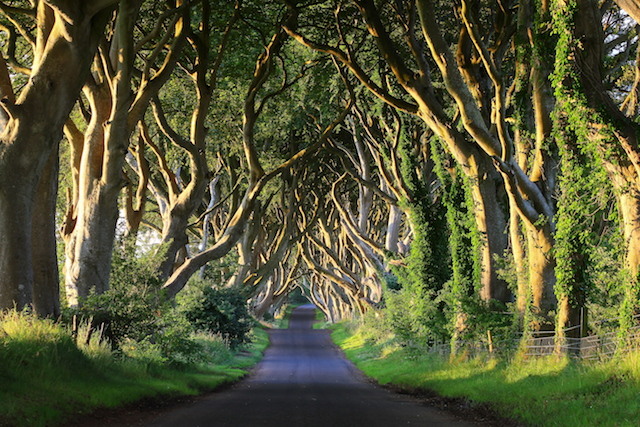 GOT road trip Nord-Irland