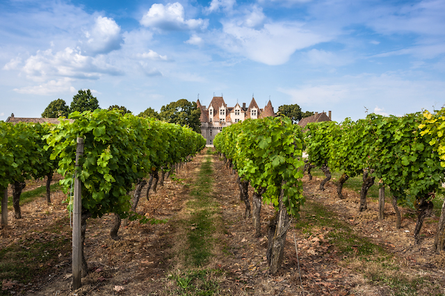 Road Trip Bergerac, Frankrike