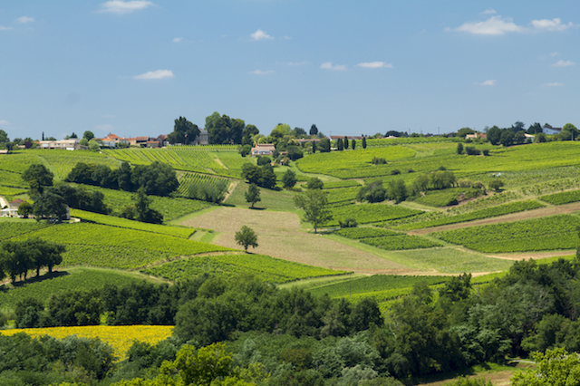 Road Trip Bordeaux, Frankrike