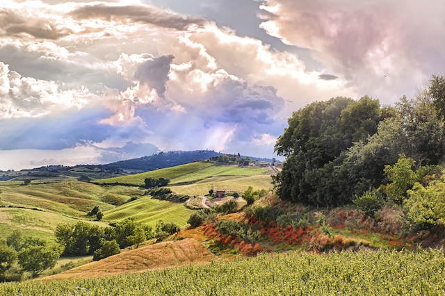 Road Trip Poppi, Italia